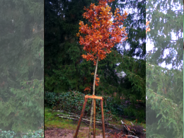 Kindergarten Sponsoring